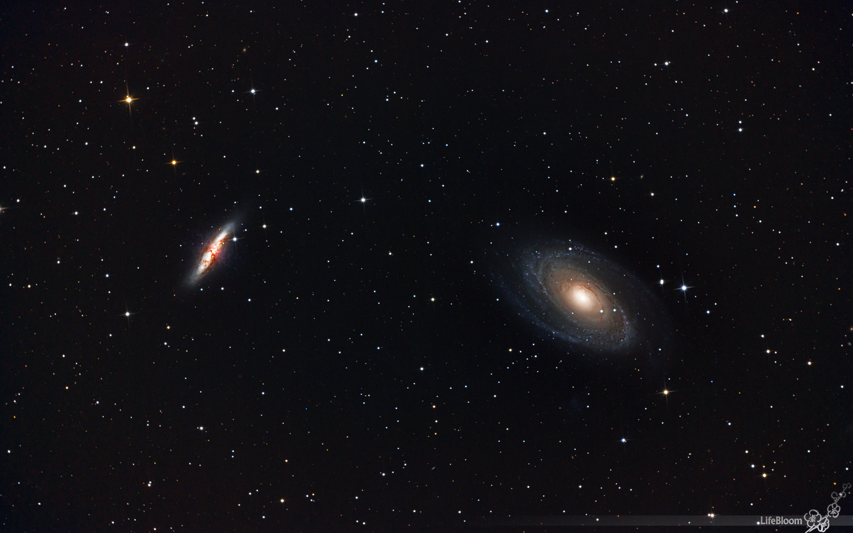 M81 & M82 - Das Galaxienpaar im Sternbild Großer Bär