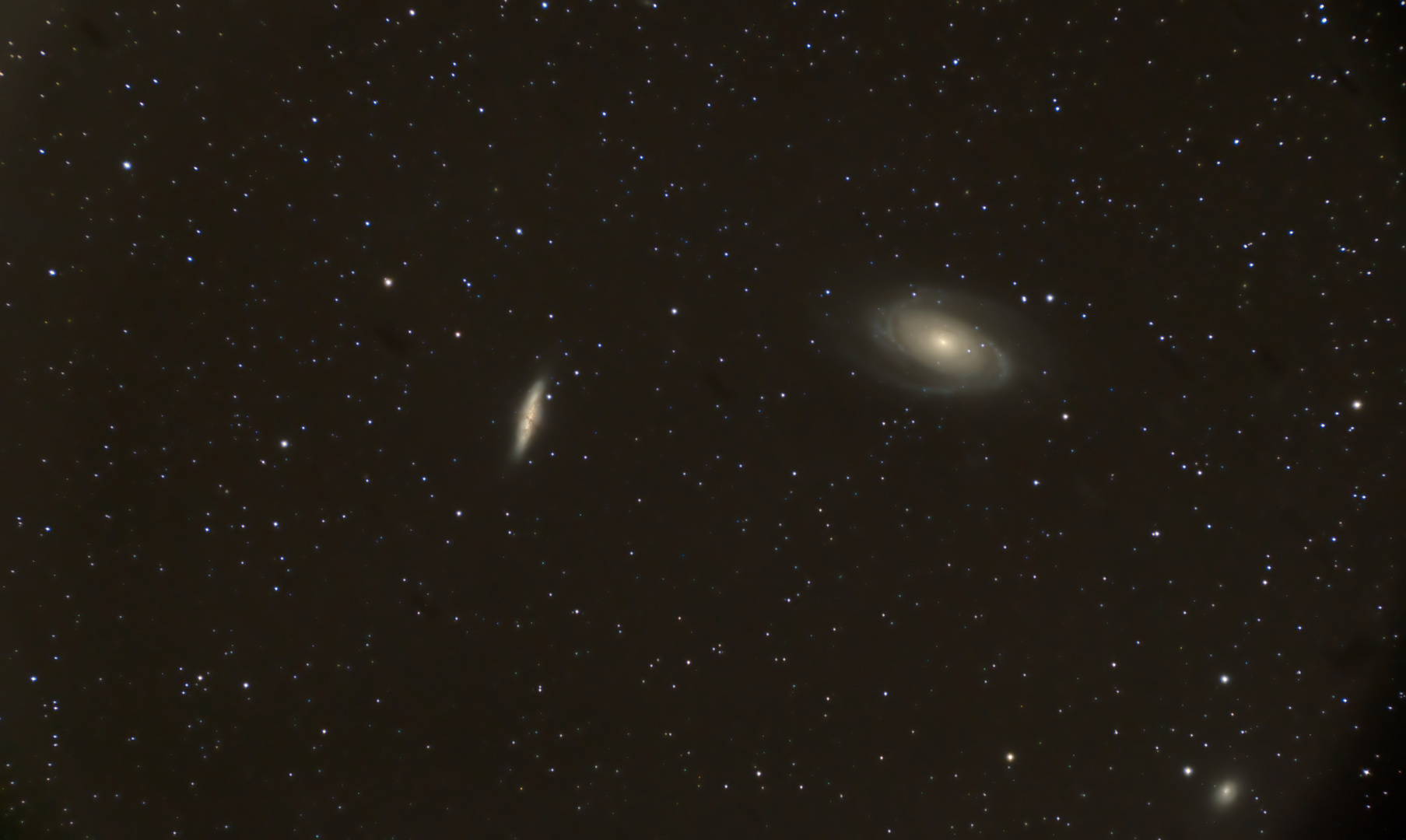 M81, M82 und NGC 3077