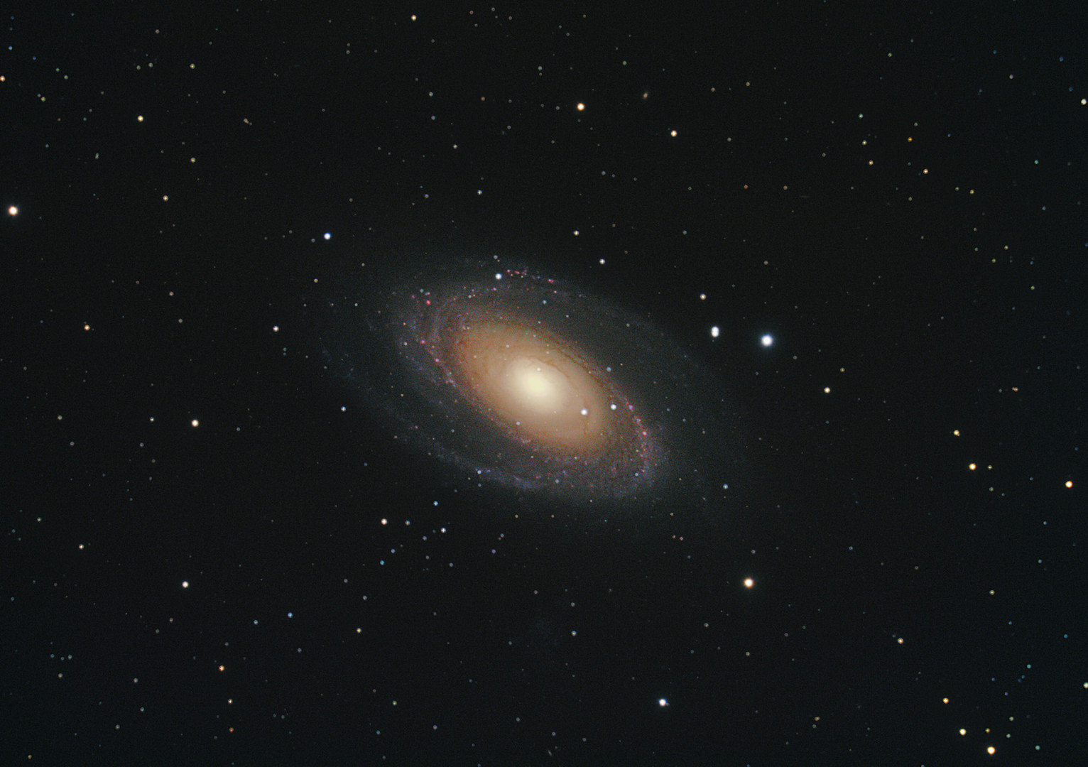 M81 (NGC 3031)