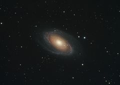 M81 (NGC 3031)