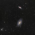 M81 und M82 mit der Supernova