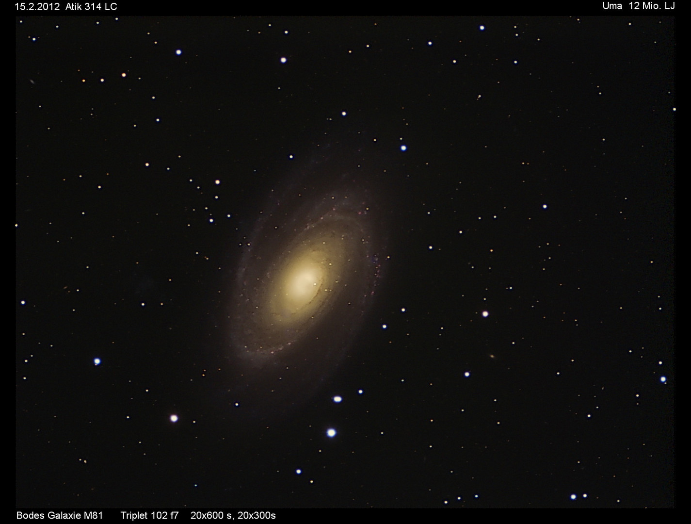 M81 zum Zweiten