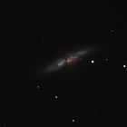 M82