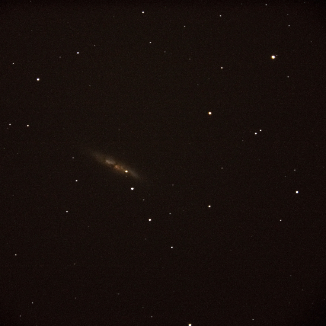 M82 Galaxie mit einer Super Nova