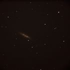 M82 Galaxie mit einer Super Nova