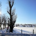 Ma balade du jour : Parc National des Cévennes