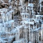 Ma balade du jour : Parc National des Cévennes