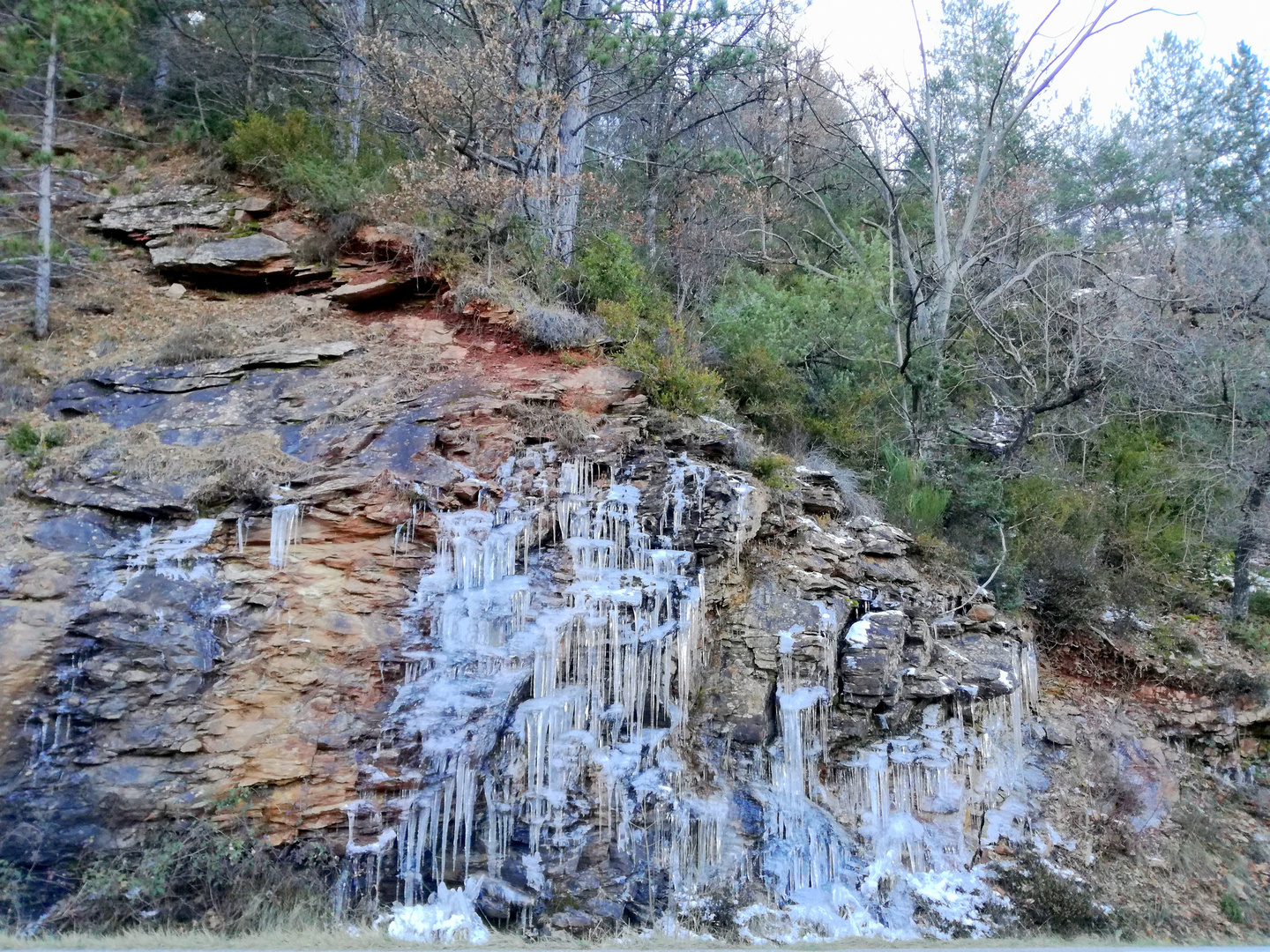 Ma balade du jour : Parc National des Cévennes