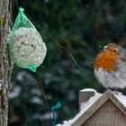 Ma boule rouge....