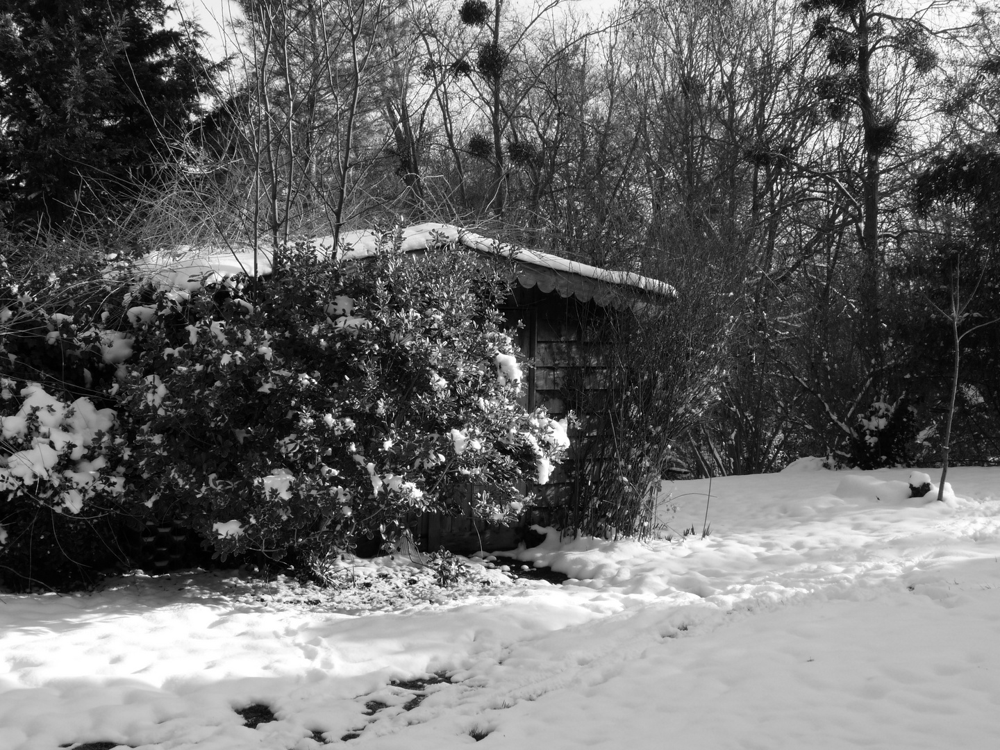 Ma cabane à St Hilaire