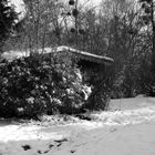 Ma cabane à St Hilaire