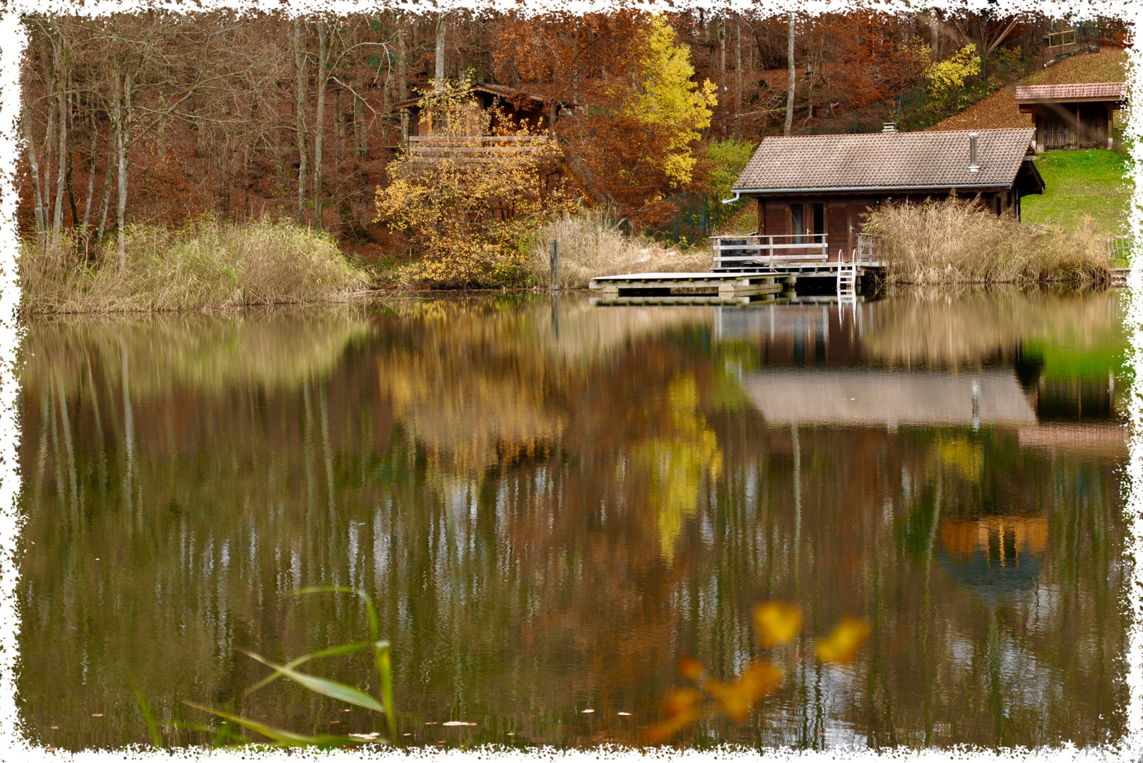 Ma cabane au bord du lac !