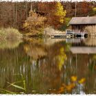 Ma cabane au bord du lac !