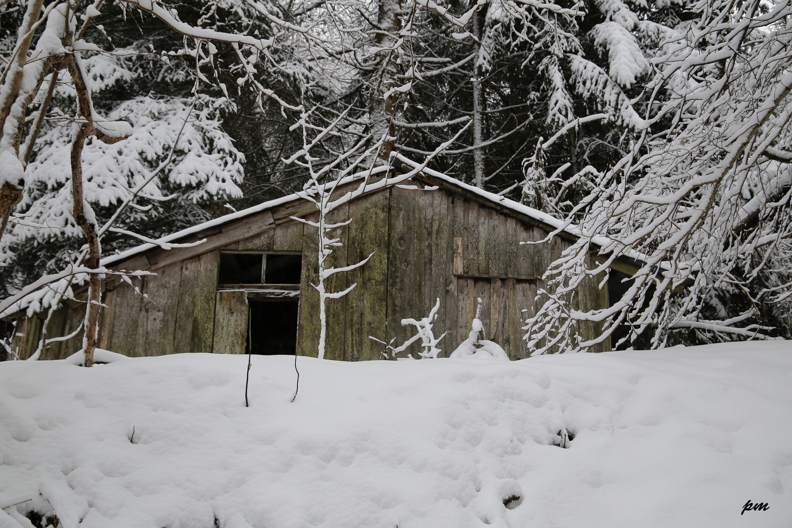 Ma cabane au C....... !