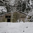 Ma cabane au C....... !