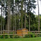 ma cabane au Canada