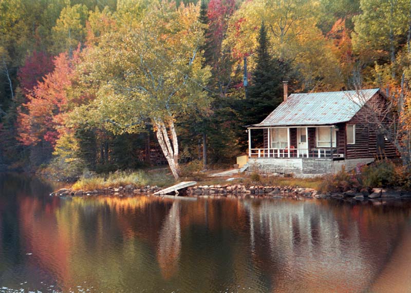 Ma cabane au Canada