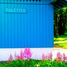 Ma Cabane au Fond du Jardin