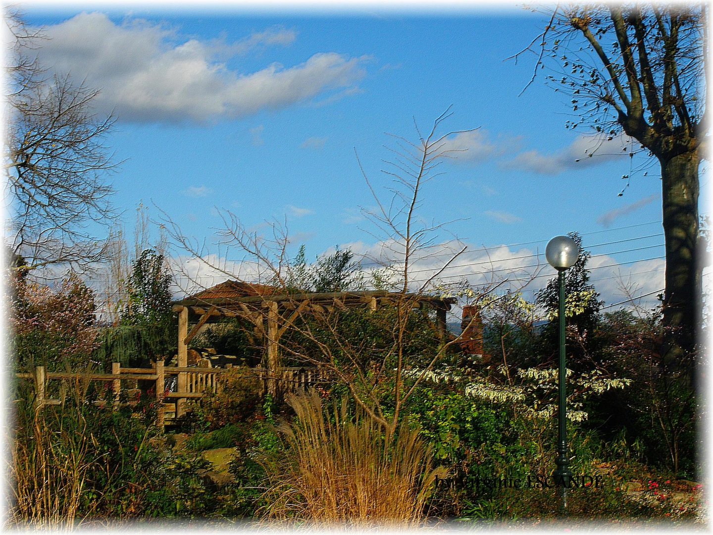 Ma Cabane dans le Tarn