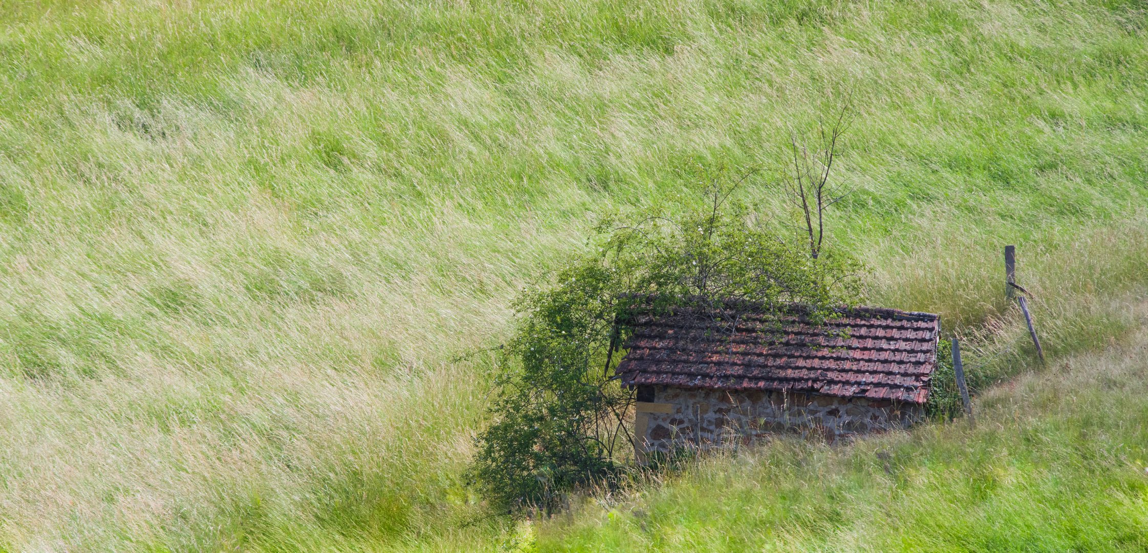 ma cabane, mais pas au Canada