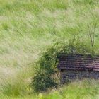 ma cabane, mais pas au Canada