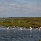 ma camargue