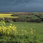 ma campagne est belle