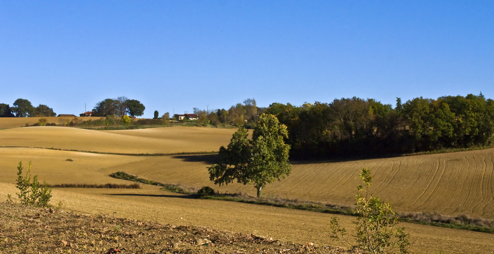 Ma campagne gersoise à l’automne -- Meine Gers-Landschaft im Herbst.