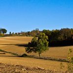 Ma campagne gersoise à l’automne -- Meine Gers-Landschaft im Herbst.