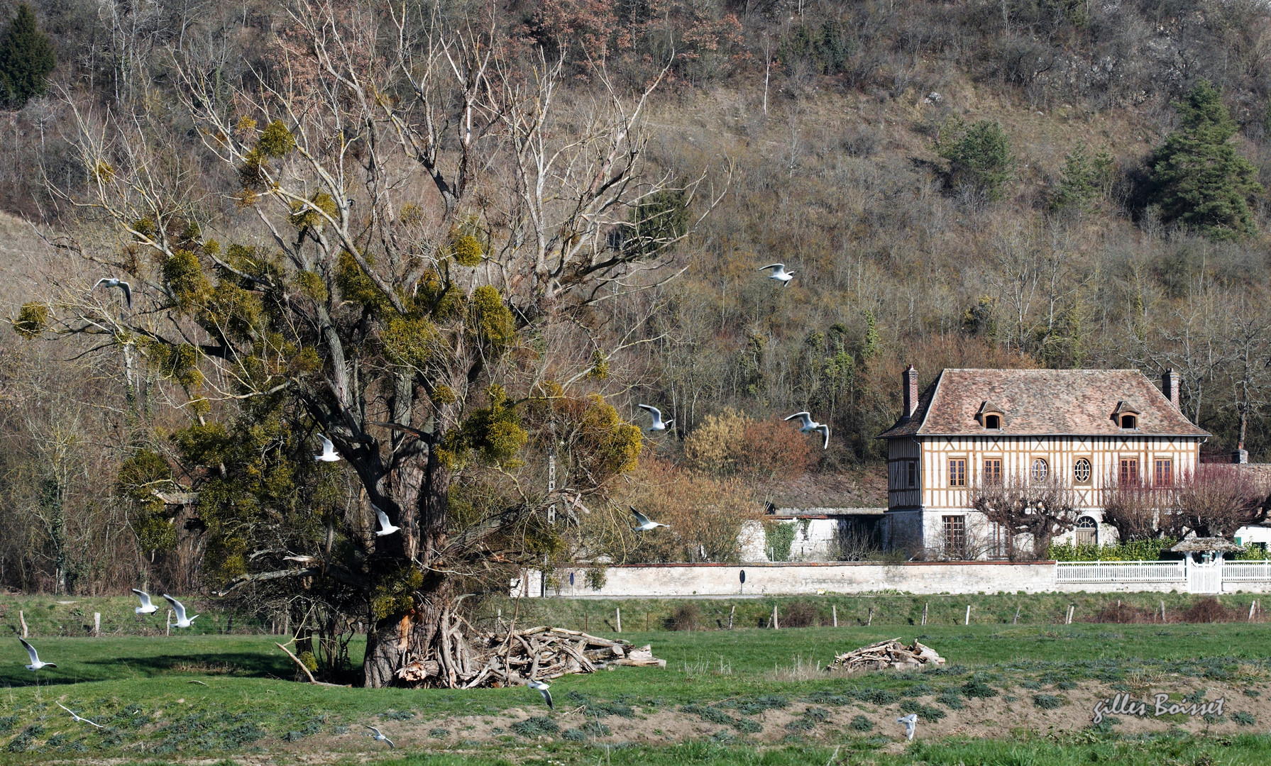 ma campagne, l'ermitage