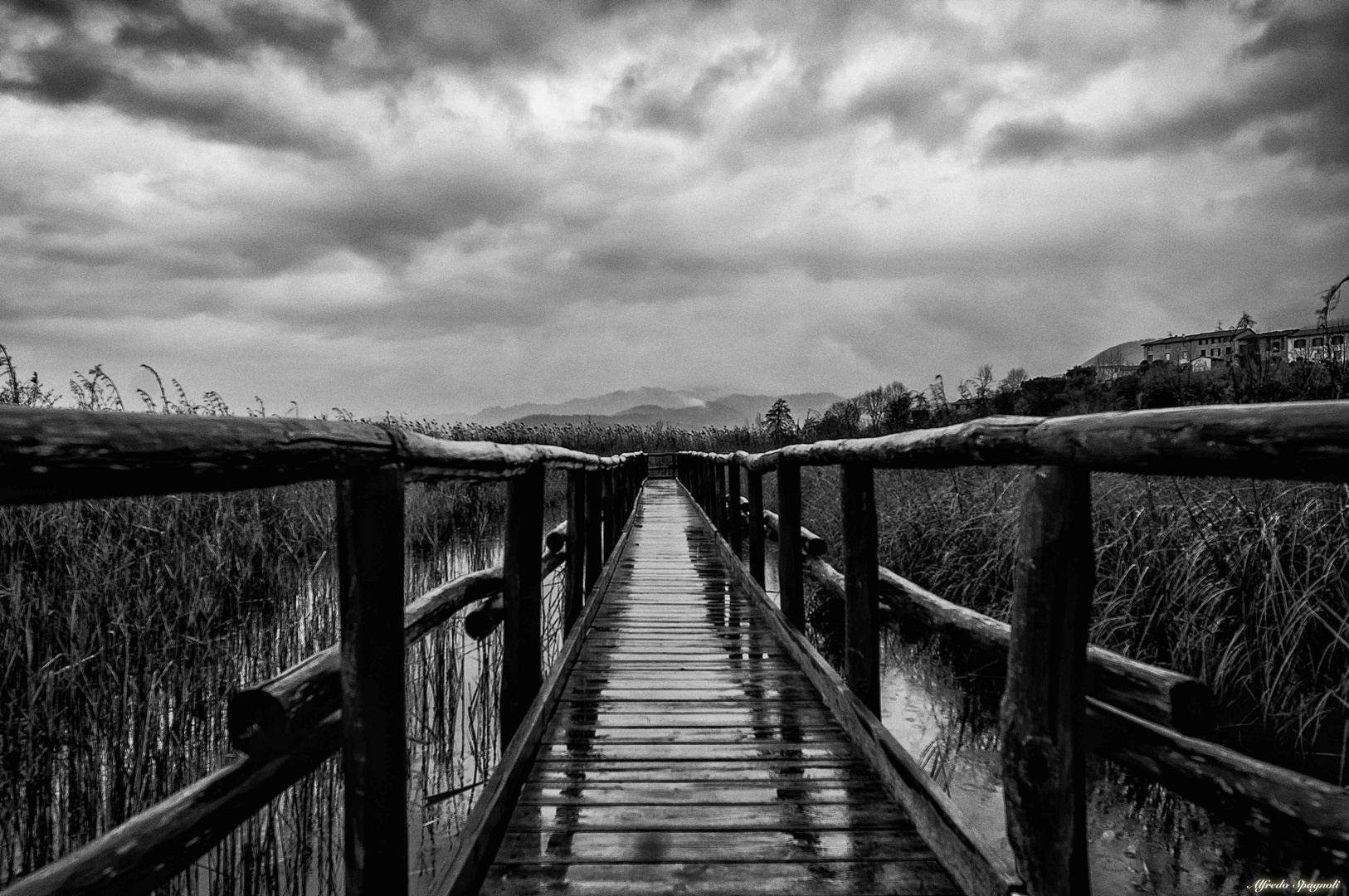 MA CHE SAPORE HA.......