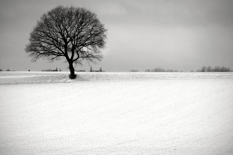 Ma Hesbaye sous les frimas 2