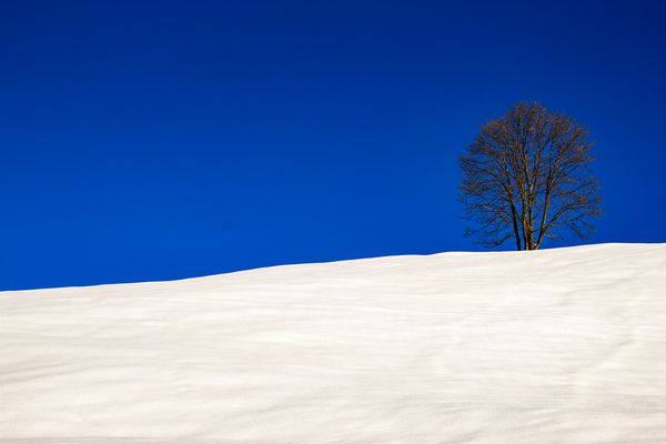 Ma il cielo e' sempre piu' blu