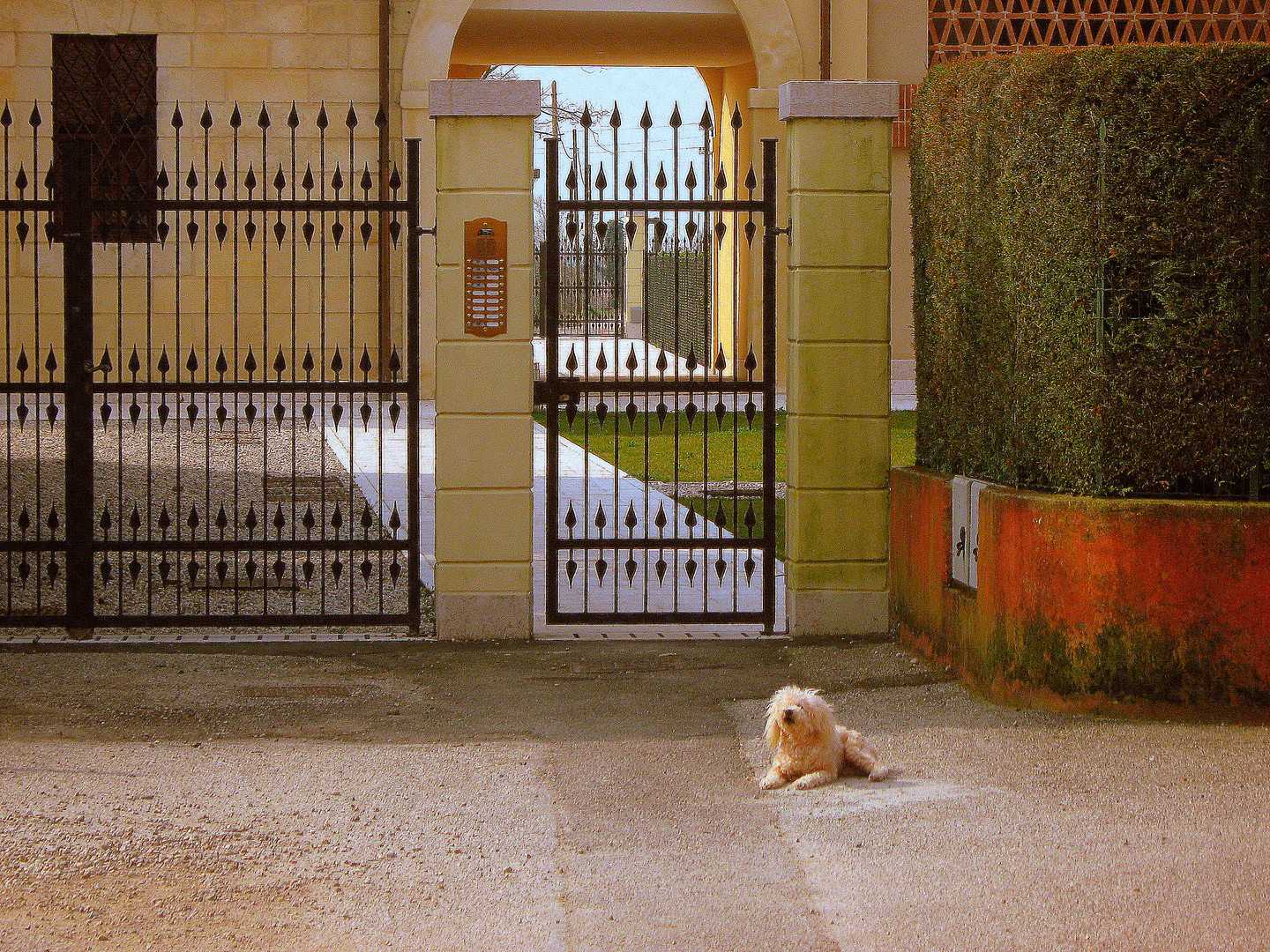 Ma io...sono forse un cane da guardia?