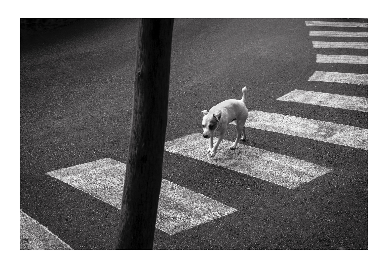 Ma non è Giacometti! ... e tanto meno Bresson!