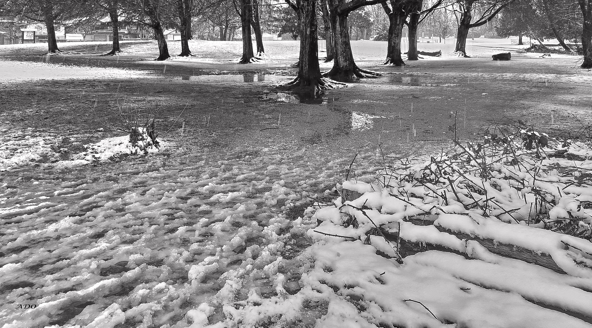 Ma promenade autour du lac 