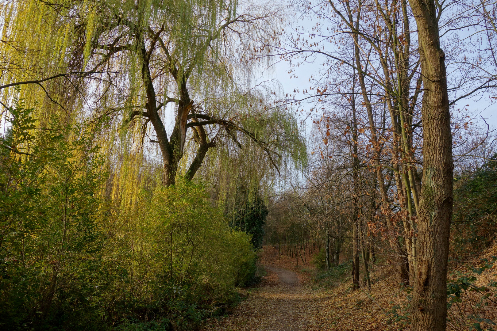 ma promenade...