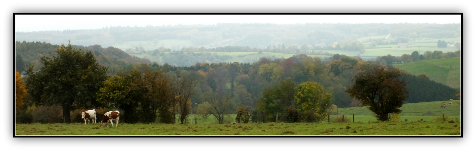 ma région en automne.