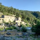 Ma région .... Les Cévennes 