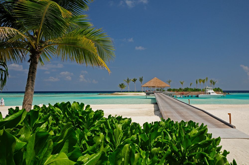 MAALIFUSHI