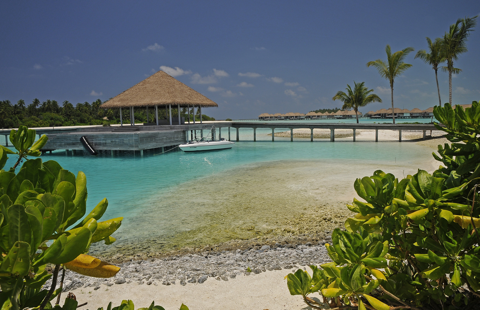 MAALIFUSHI *****