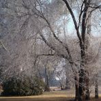 Mañana de invierno