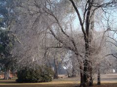 Mañana de invierno