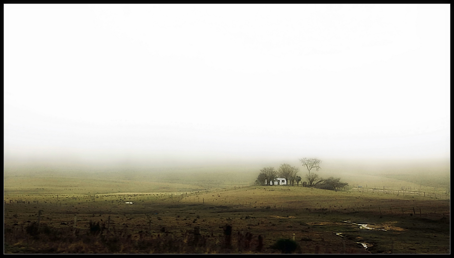 Mañana de niebla