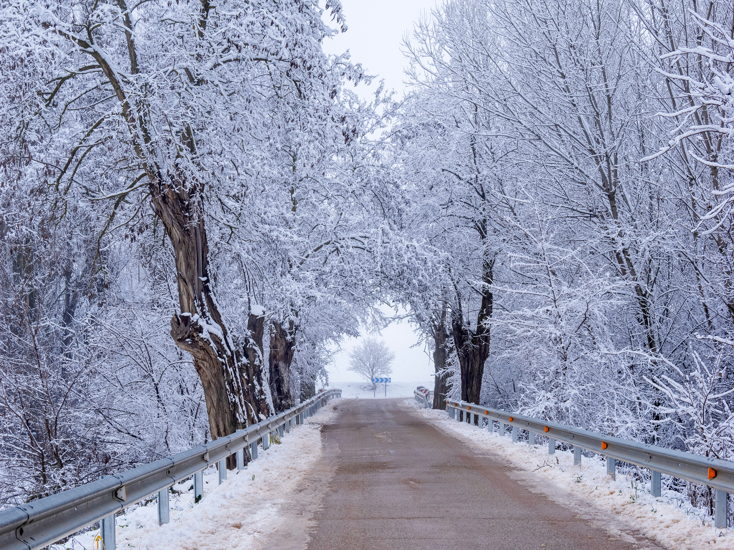 Mañana de nieve