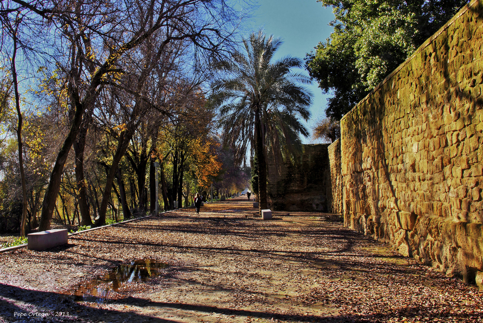 Mañana de paseo