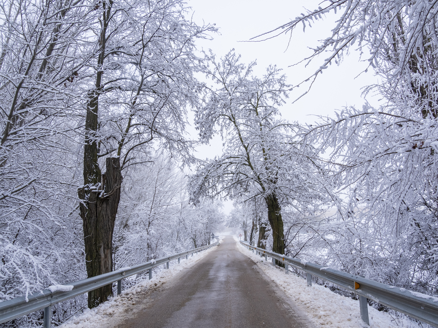 Mañana fria de invierno, después de nevar.