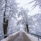 Mañana fria de invierno, después de nevar.