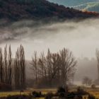 Mañanas de niebla