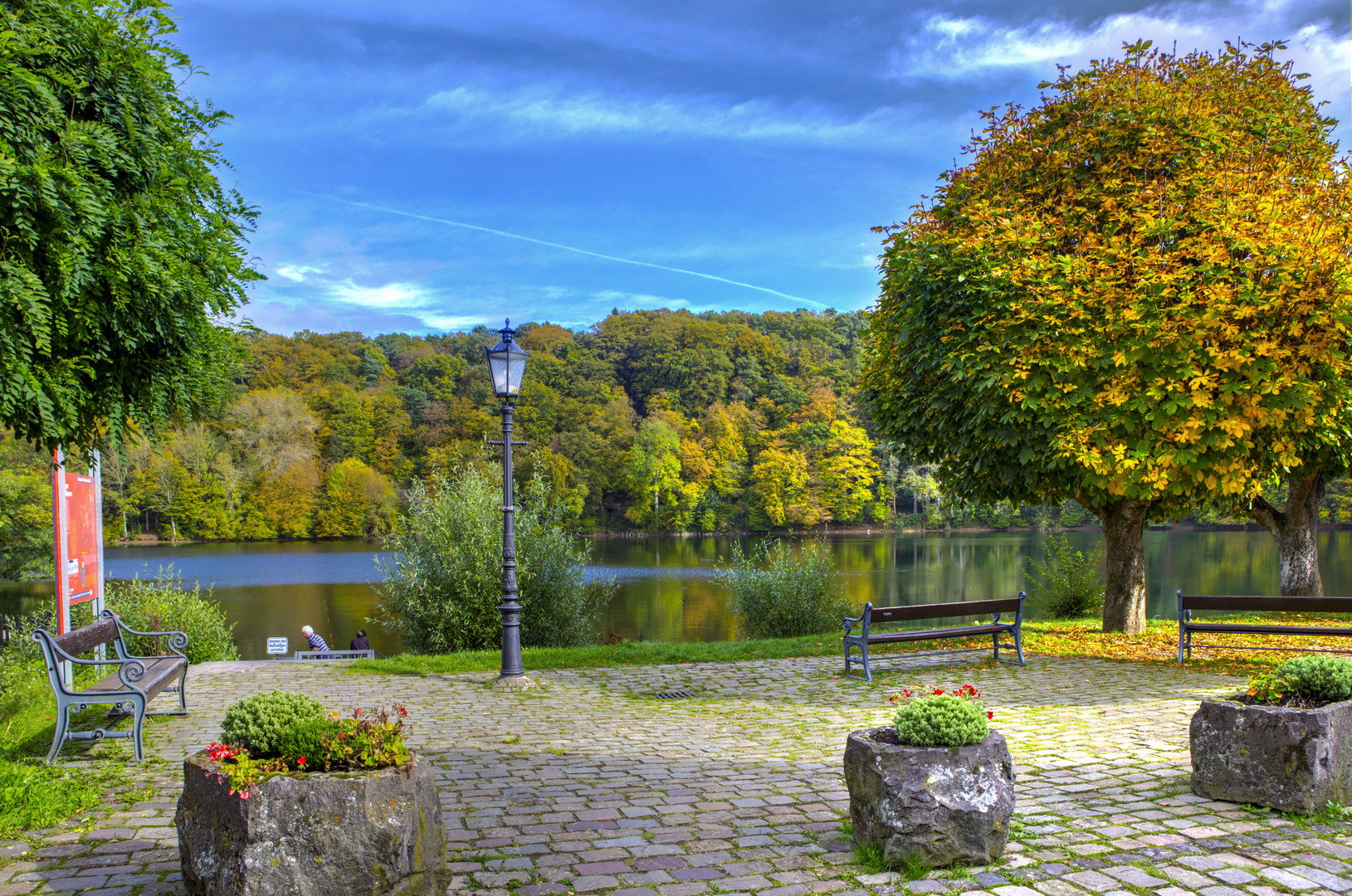 Maar Ulmen im Herbst